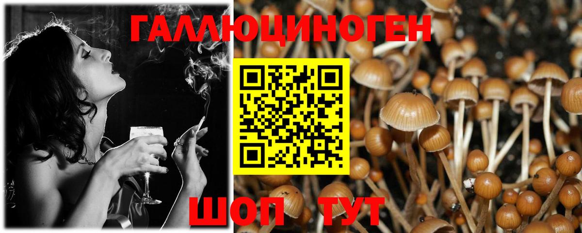 Звенигород  как найти закладки  Вход с VPN  Псилоцибиновые грибы Psilocybe 